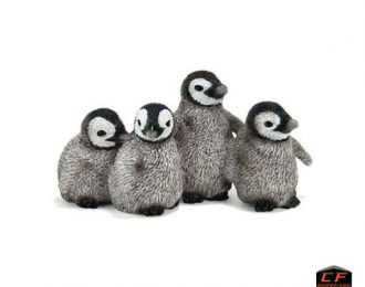 Pingüinos bebes